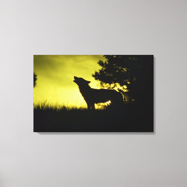 Lienzo Silhouette de un aullido de lobo (Anverso)