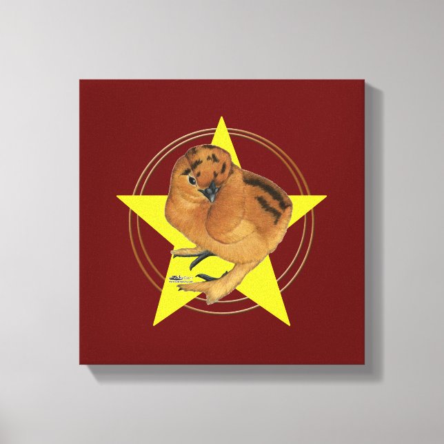 Lienzo Silkie Gallina Roja Estrella (Anverso)