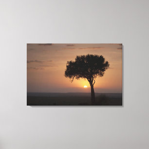 Lienzo Silueta de árbol en la llanura, Masai Mara