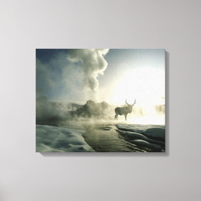 Lienzo Silueta de Elk al amanecer en Castle Geyser (Anverso)