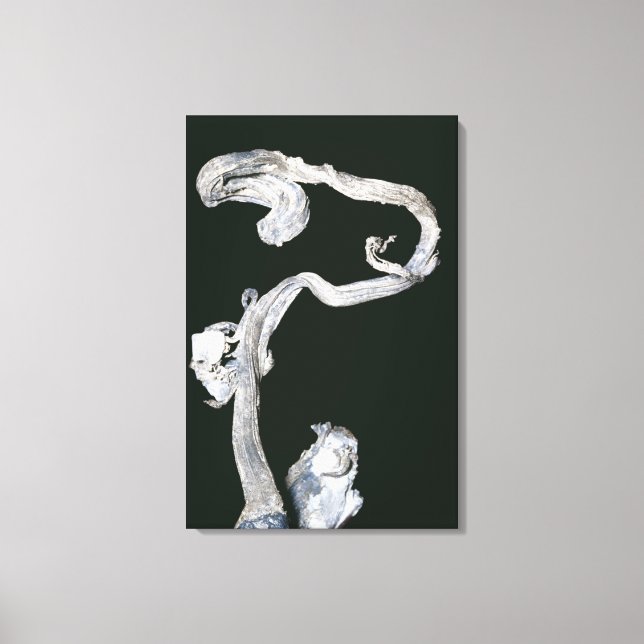 Lienzo Silver nativo (Anverso)