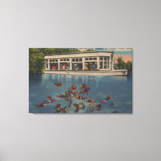 Lienzo Silver Springs, Florida - Vista de Riverboat &