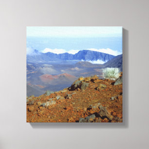 Lienzo Silversword en el borde del cráter Haleakala desde