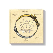 Símbolo Ouroboros de oro y plata