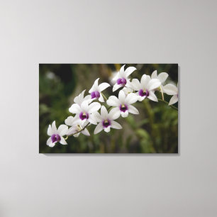 Lienzo Singapur (Sanskrit por Ciudad León). Nacional 2