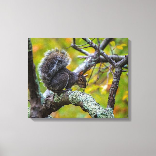 LIENZO SINISTER SQUIRREL BRAPPEADO CANVAS (Anverso)