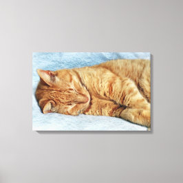 Lienzo Sleepy Kitty