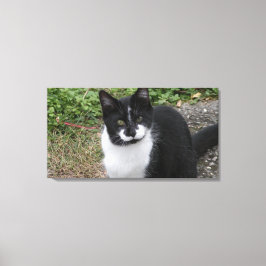 Lienzo Smiler Charity 