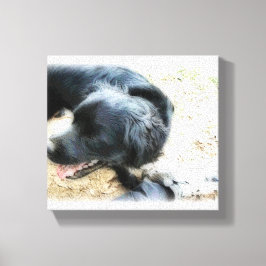 Lienzo Smokey en mate