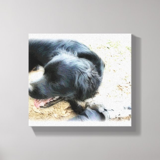 Lienzo Smokey en mate (Anverso)