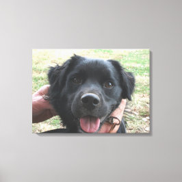 Lienzo Smokey posa para la cámara