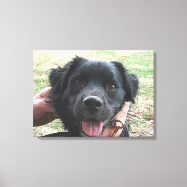 Lienzo Smokey posa para la cámara (Anverso)