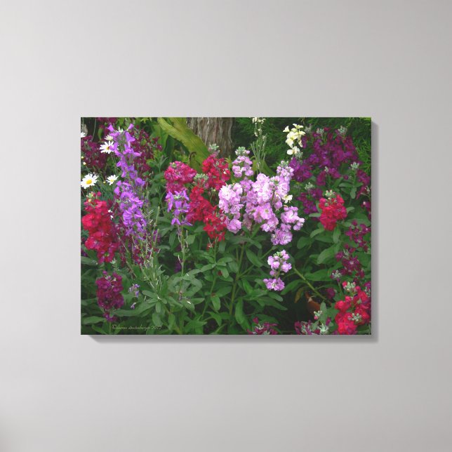 LIENZO "SNAPDRAGONS"/FOTOG/3 PANELES CANVAS GLOSS (Anverso)