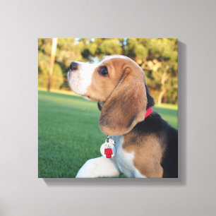 Lienzo Snoopy Beagle Canvas