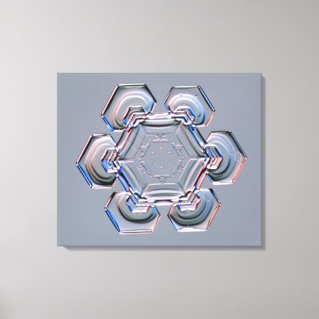 Lienzo Snowflake (Anverso)
