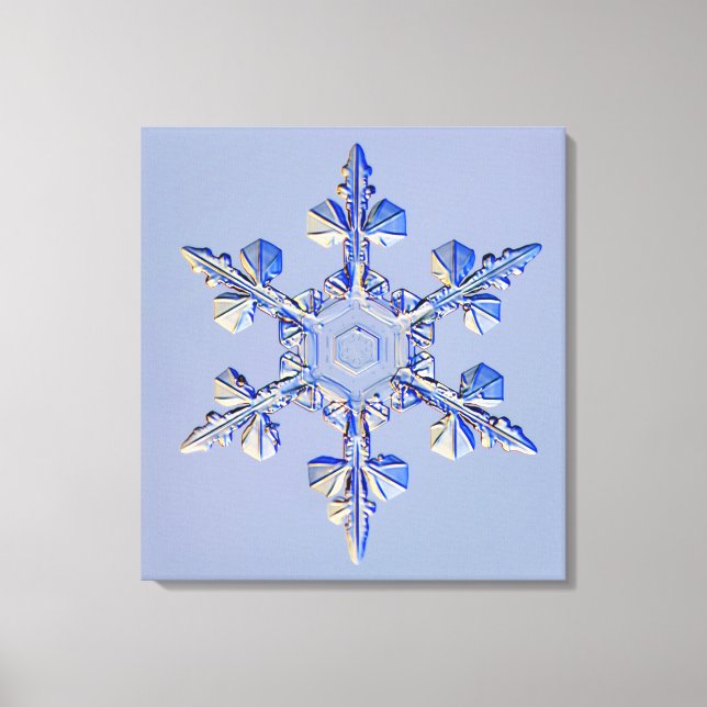 Lienzo Snowflake 2 (Anverso)