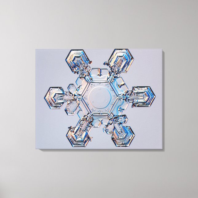 Lienzo Snowflake 2 (Anverso)