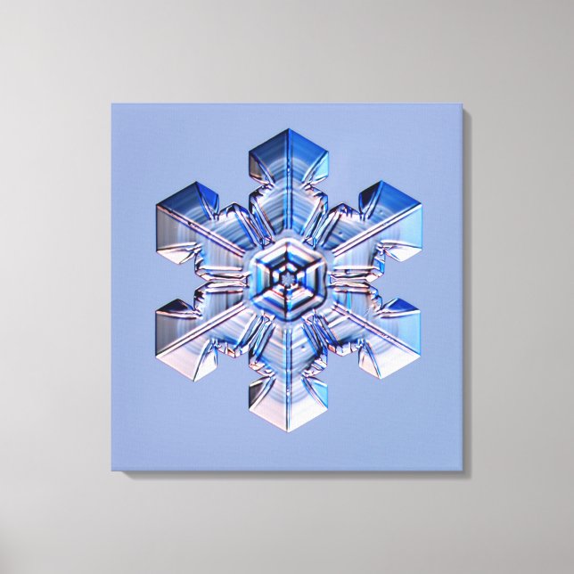 Lienzo Snowflake 3 (Anverso)