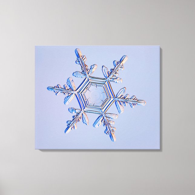Lienzo Snowflake 4 (Anverso)