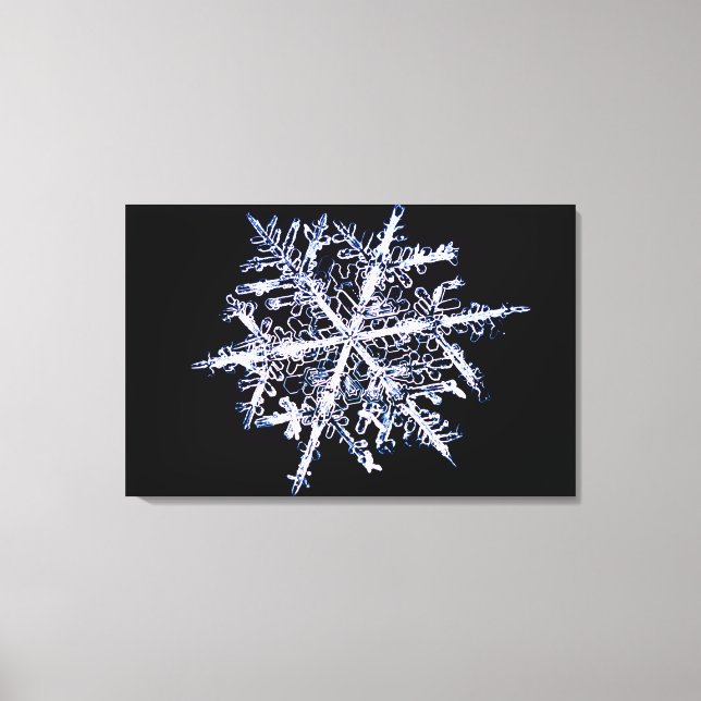 Lienzo Snowflake 5 (Anverso)