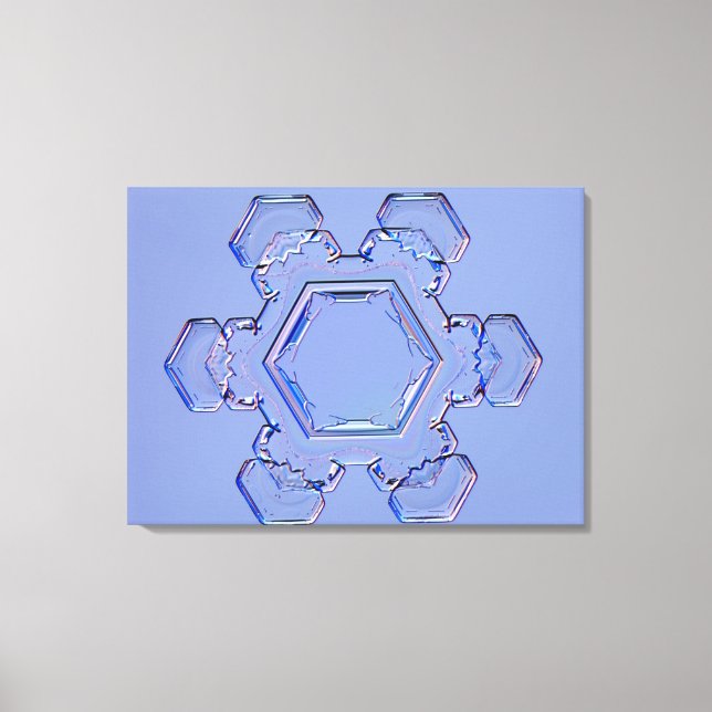 Lienzo Snowflake 6 (Anverso)