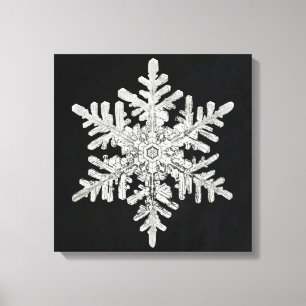 Lienzo Snowflake de Wilson Bentley