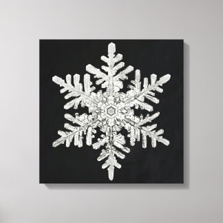 Lienzo Snowflake de Wilson Bentley