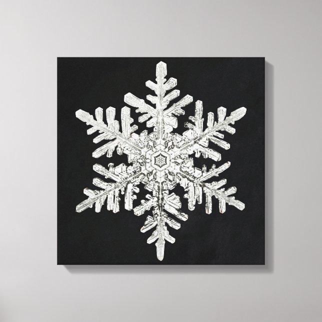 Lienzo Snowflake de Wilson Bentley (Anverso)