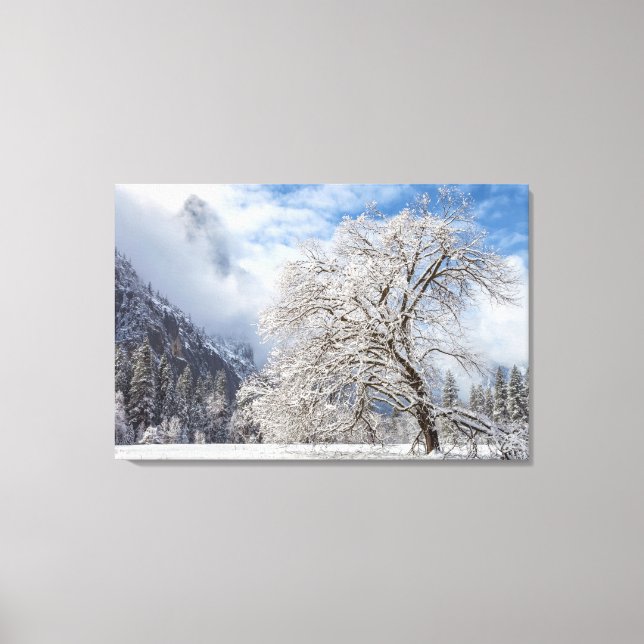 Lienzo Snowley Oak (Anverso)