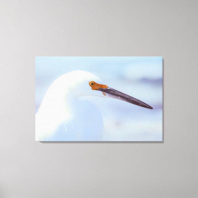 Lienzo Snowy Egret (Anverso)