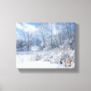 Lienzo Snowy Marthaler Pond Treds and Reeds