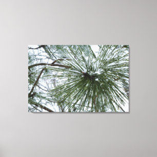 Lienzo Snowy Pine Needles Winter Nature Photography