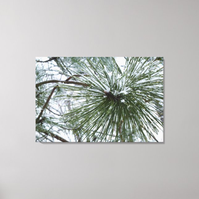 Lienzo Snowy Pine Needles Winter Nature Photography (Anverso)