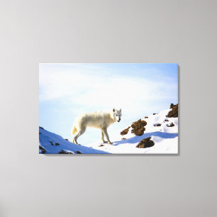 Lienzo sobre el terreno cubierto de nieve