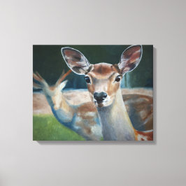 LIENZO SOCIOS PARA LA VIDA