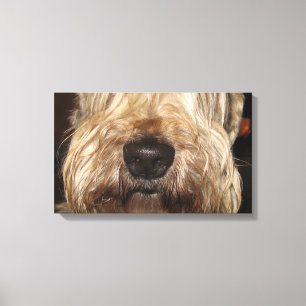 Lienzo soft coated wheaton terrier.png