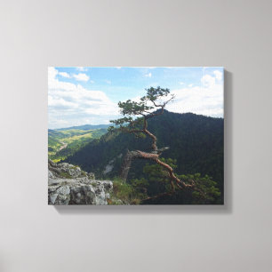 Lienzo Sokolica, Pieniny