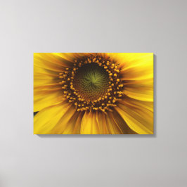 Lienzo Sol brillante