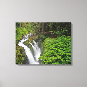 Lienzo Sol Duc Falls en el Parque Nacional Olympic en