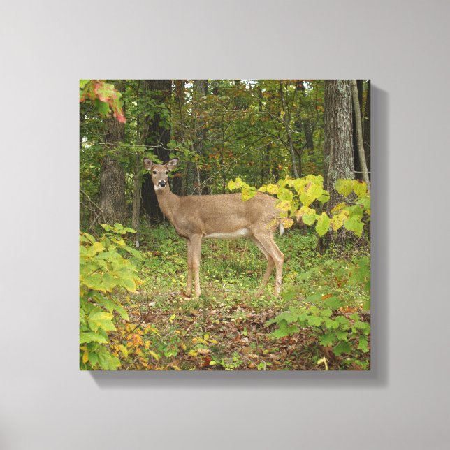 Lienzo Solo esperando (Anverso)