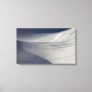 Lienzo Sombras de nieve intacta CC0099