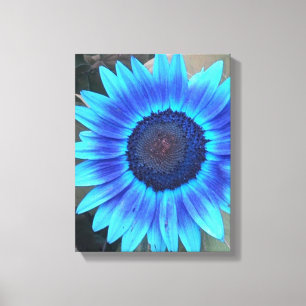 Lienzo Sombras de tela envuelta con girasol azul Imprimir