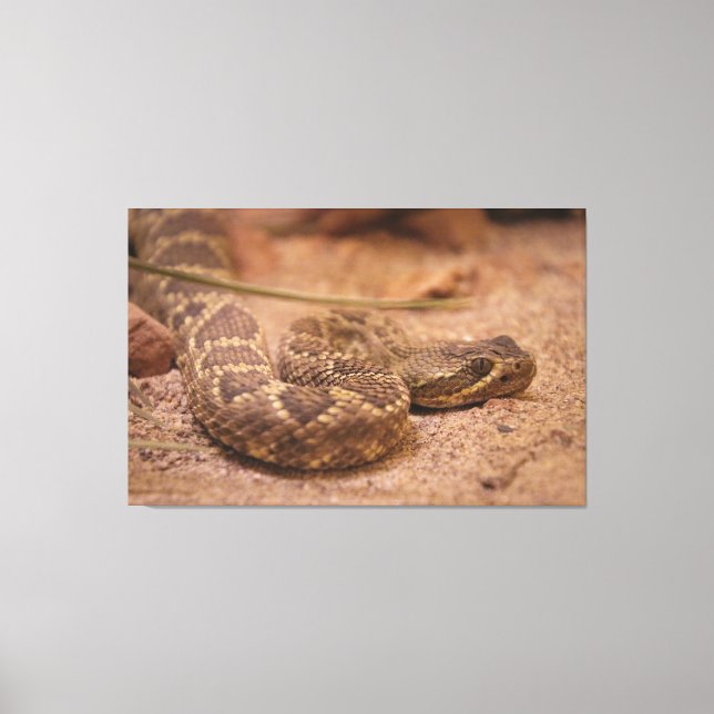 Lienzo sonar (Anverso)