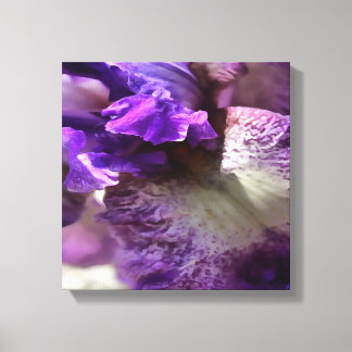 Lienzo Sorprendente resumen morado, violeta y mauve iris