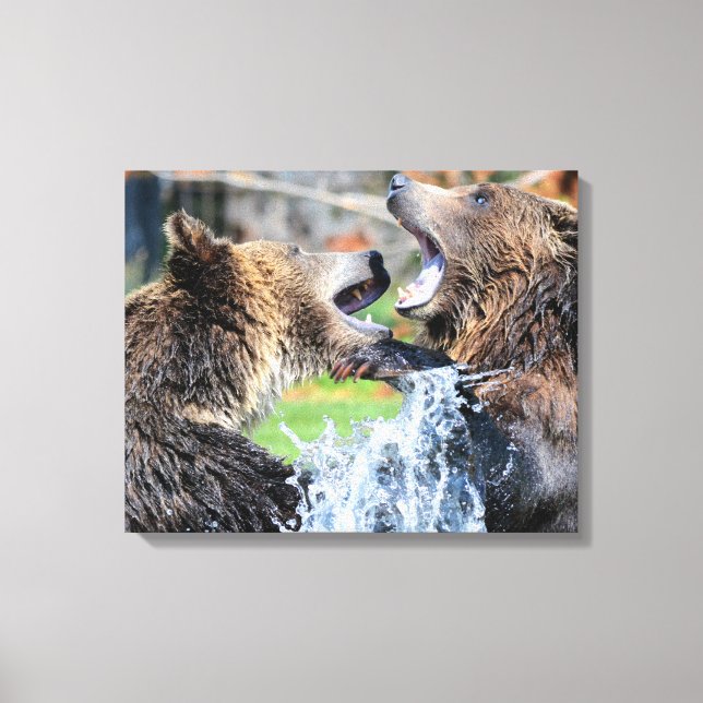Lienzo Sparring Grizzly Bears (Anverso)
