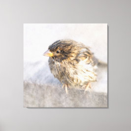 Lienzo Sparrow - Fracaso epidémico en las predicciones me