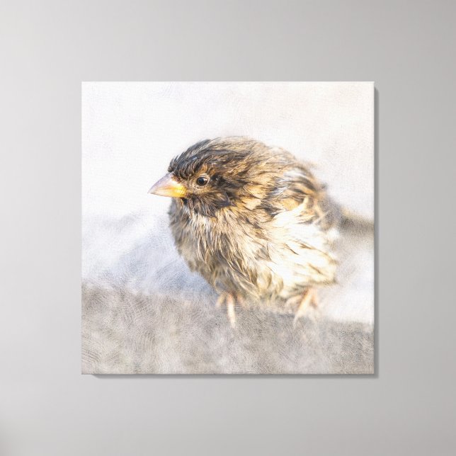 Lienzo Sparrow - Fracaso epidémico en las predicciones me (Anverso)