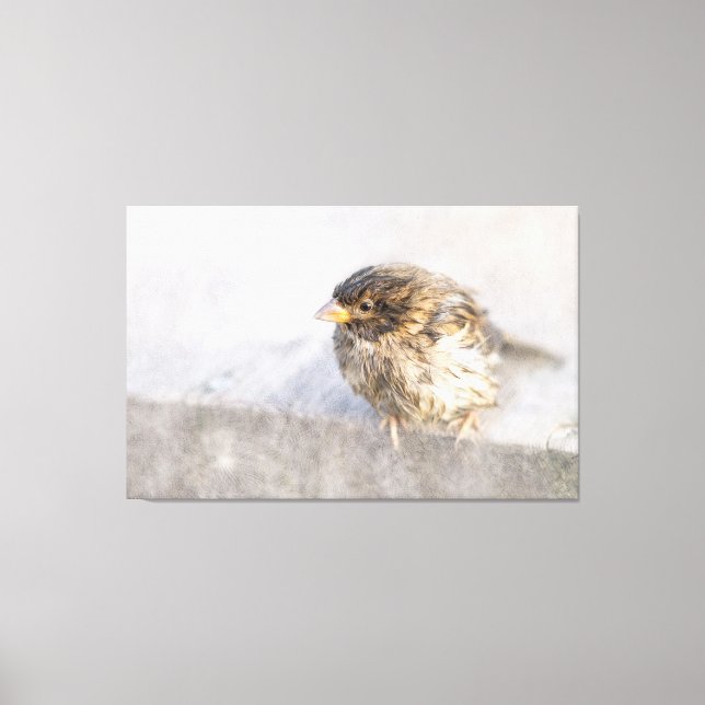 Lienzo Sparrow - Fracaso epidémico en las predicciones me (Anverso)