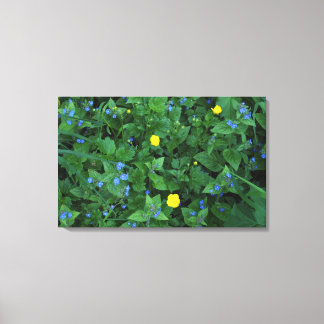 Lienzo Speedwell and Buttercups