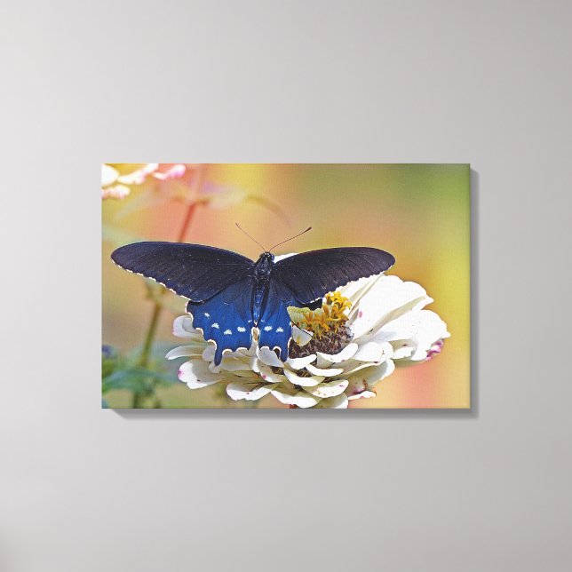 Lienzo Spicebush Swallowtail (Anverso)